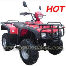 250cc ATV, Quad (MC-363)